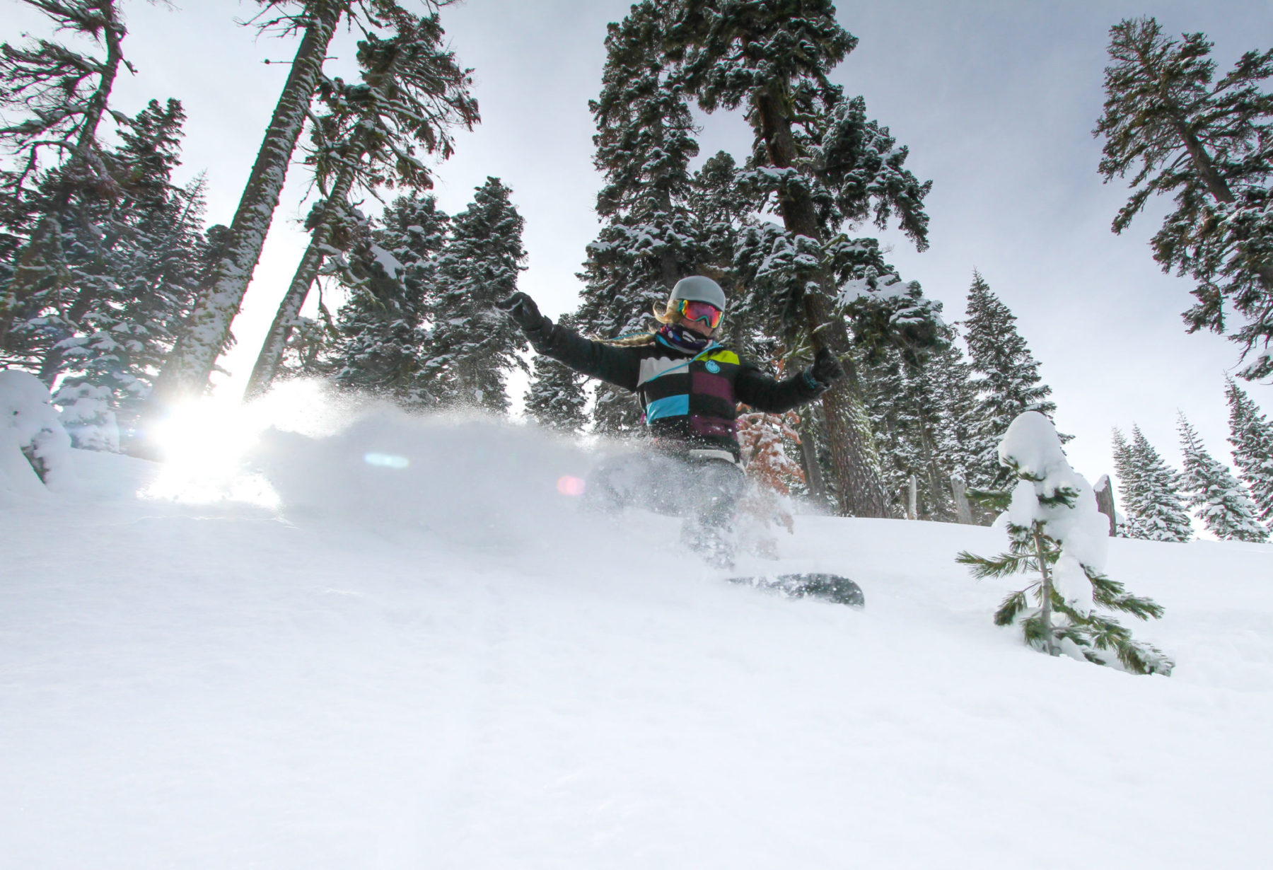 The terrain at homewood mountian resort is known for its endless powder and vast tree runs