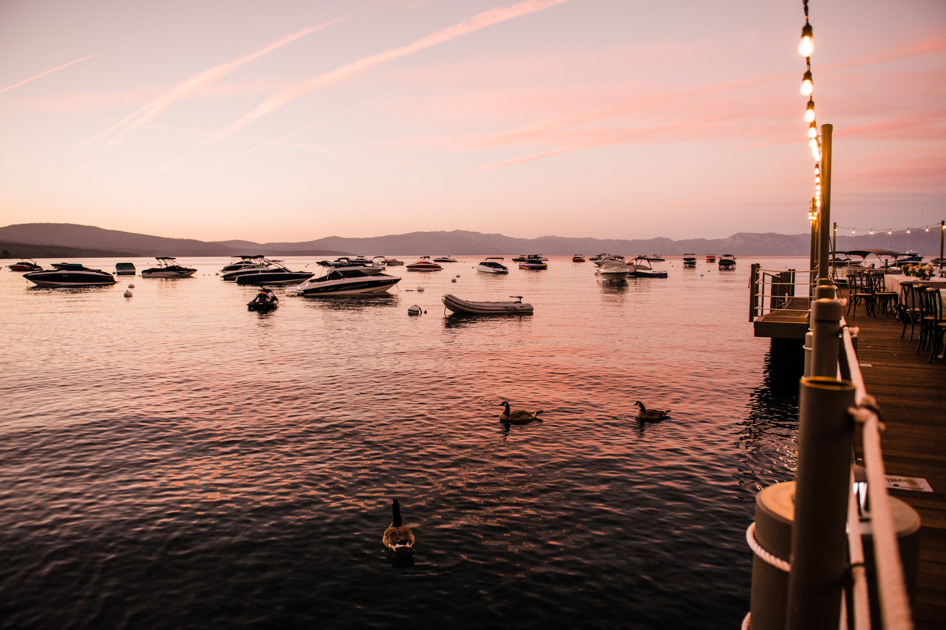 A view looking down the West Shore Cafe pier toward Lake Tahoe. There are three geese, and boats in the foreground. The sunset is pink and blue. Custock Photography